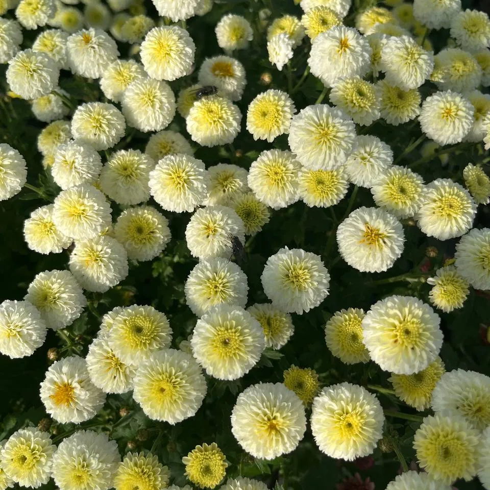 164
