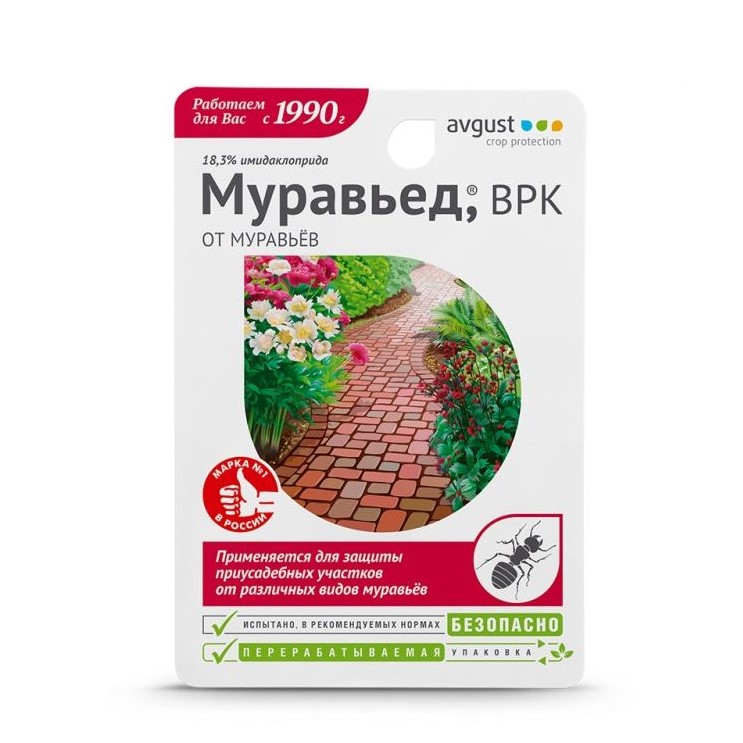 муравьед