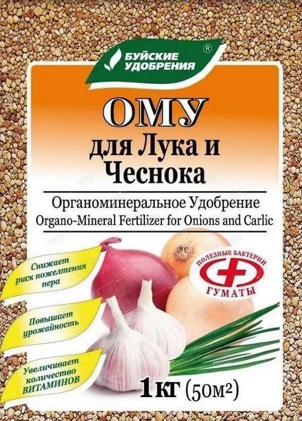 лук чеснок
