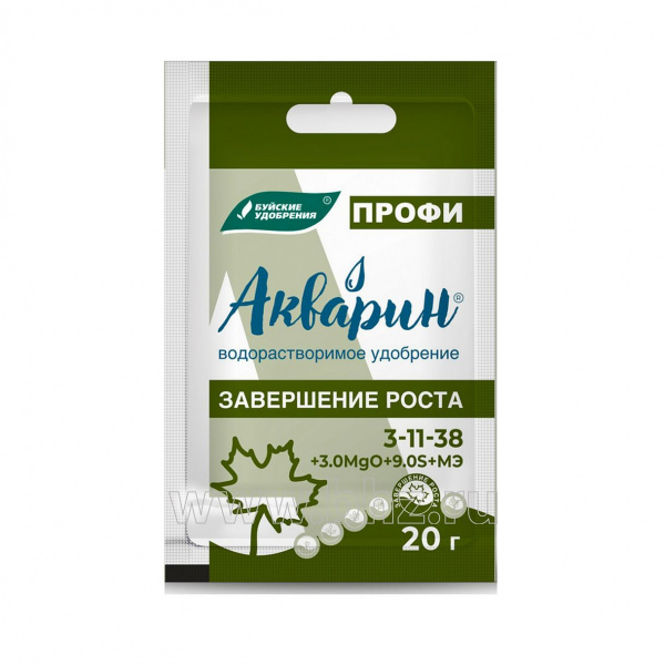 завершение роста